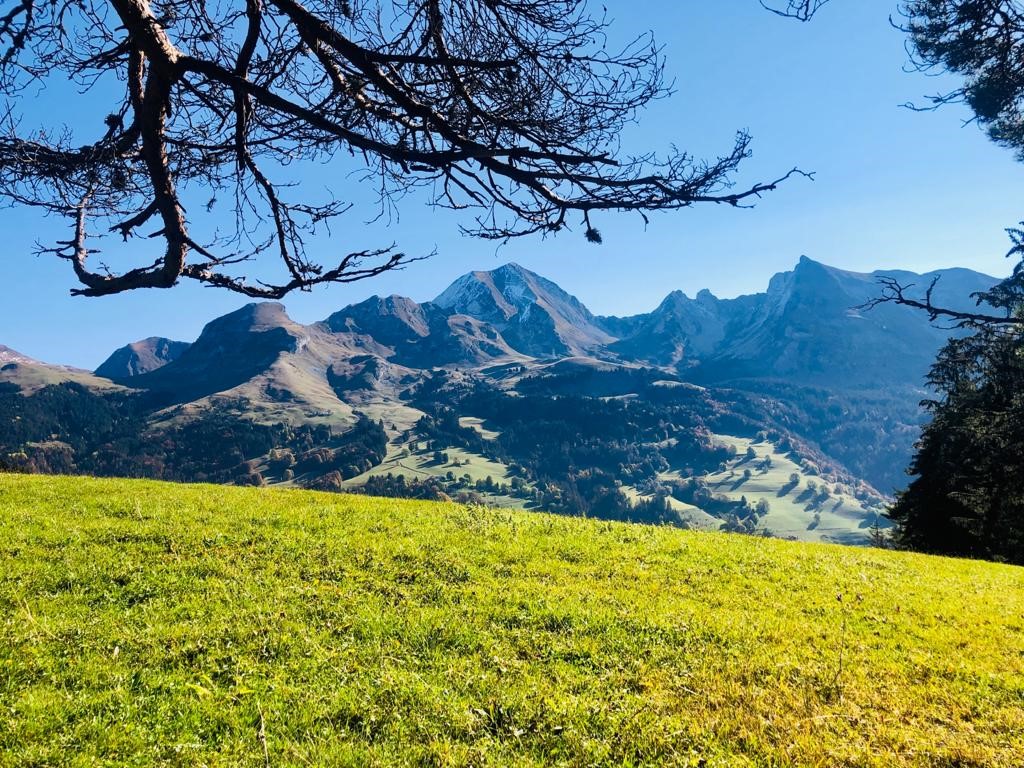 11 les Aravis